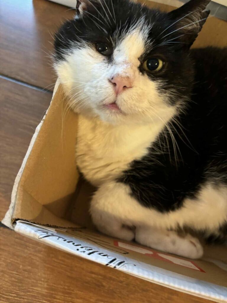 Albert – fotografie 2