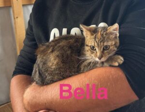 Bella