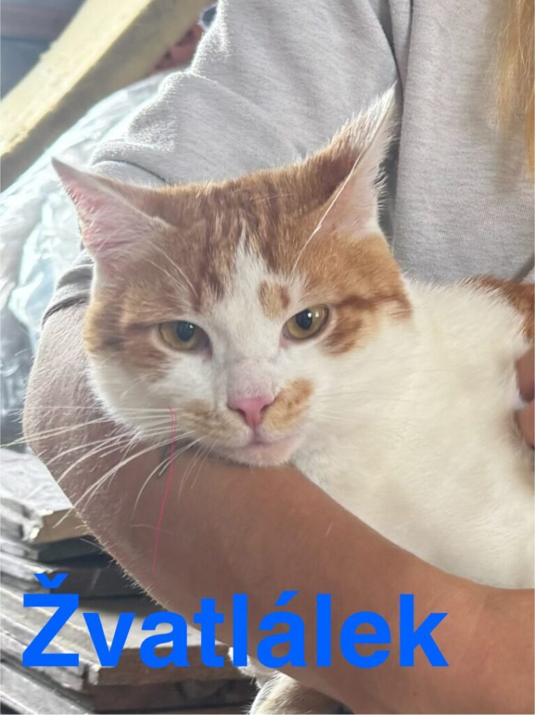 Žvatlálek