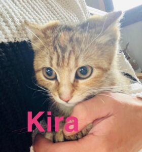 Kira