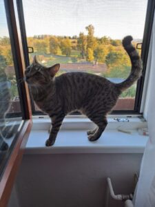 Monty